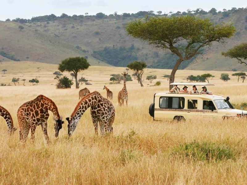 Safari in Kenya