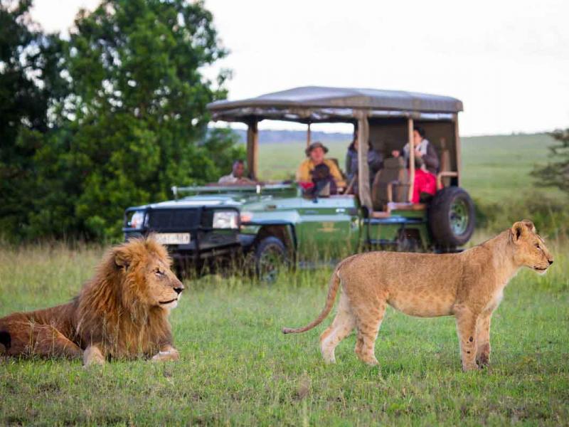 Safari in Kenya