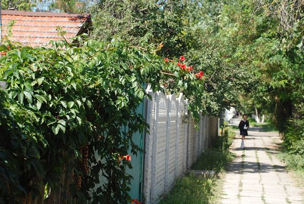 Цілі квартали, забудовані суцільно приватними будинками з усіма атрибутами сільського життя - курми, козами, городами