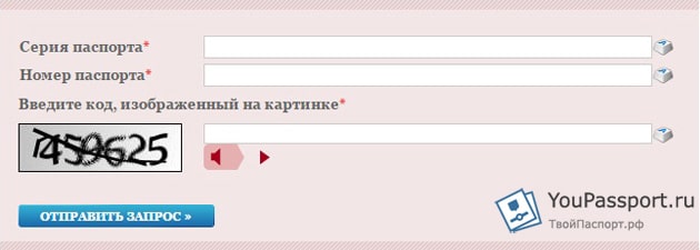 Далі ми бачимо форму, яку необхідно заповнити, вказавши серію, номер паспорта і код з картинки