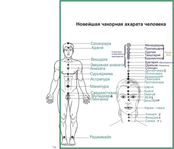 У цього тіла при зачатті в матці все пульсації суть тільки формують пульсації;  від цих пульсацій, сконцентрованих в середині пупа, розходяться три незрівнянних вістря у вигляді каналів-пульсацій